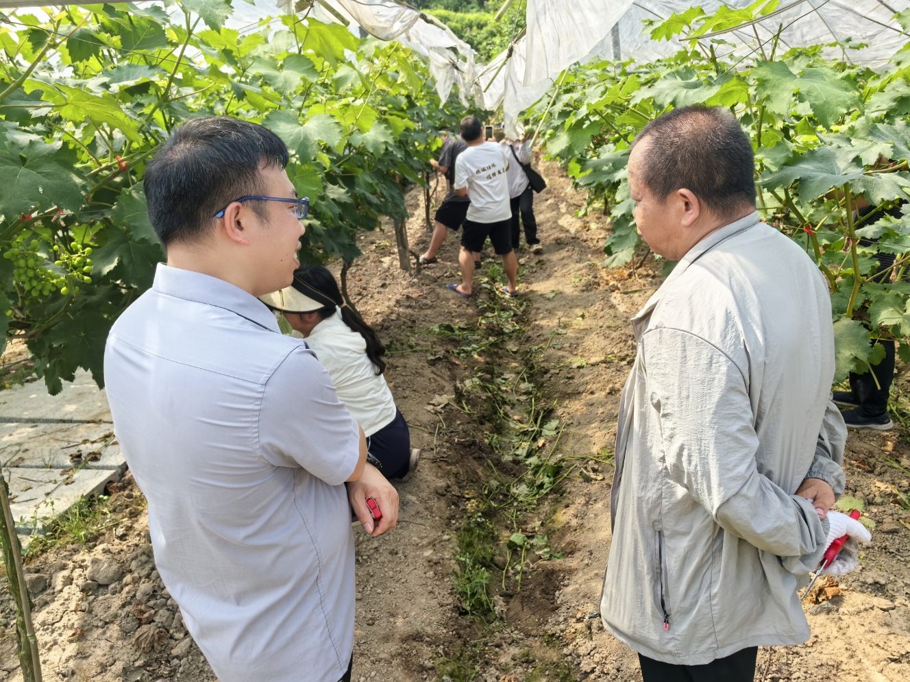 william威廉中文官网