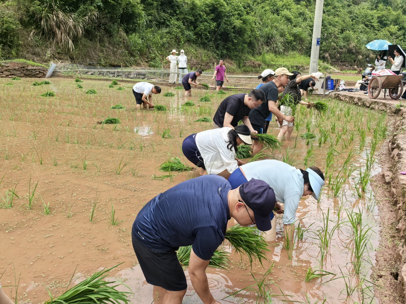 william威廉中文官网