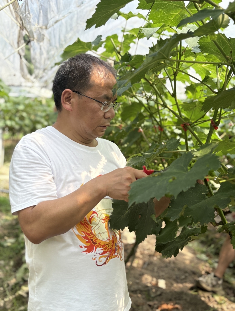 william威廉中文官网