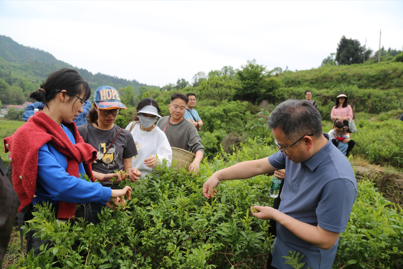 william威廉中文官网