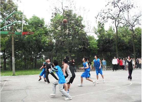 william威廉中文官网