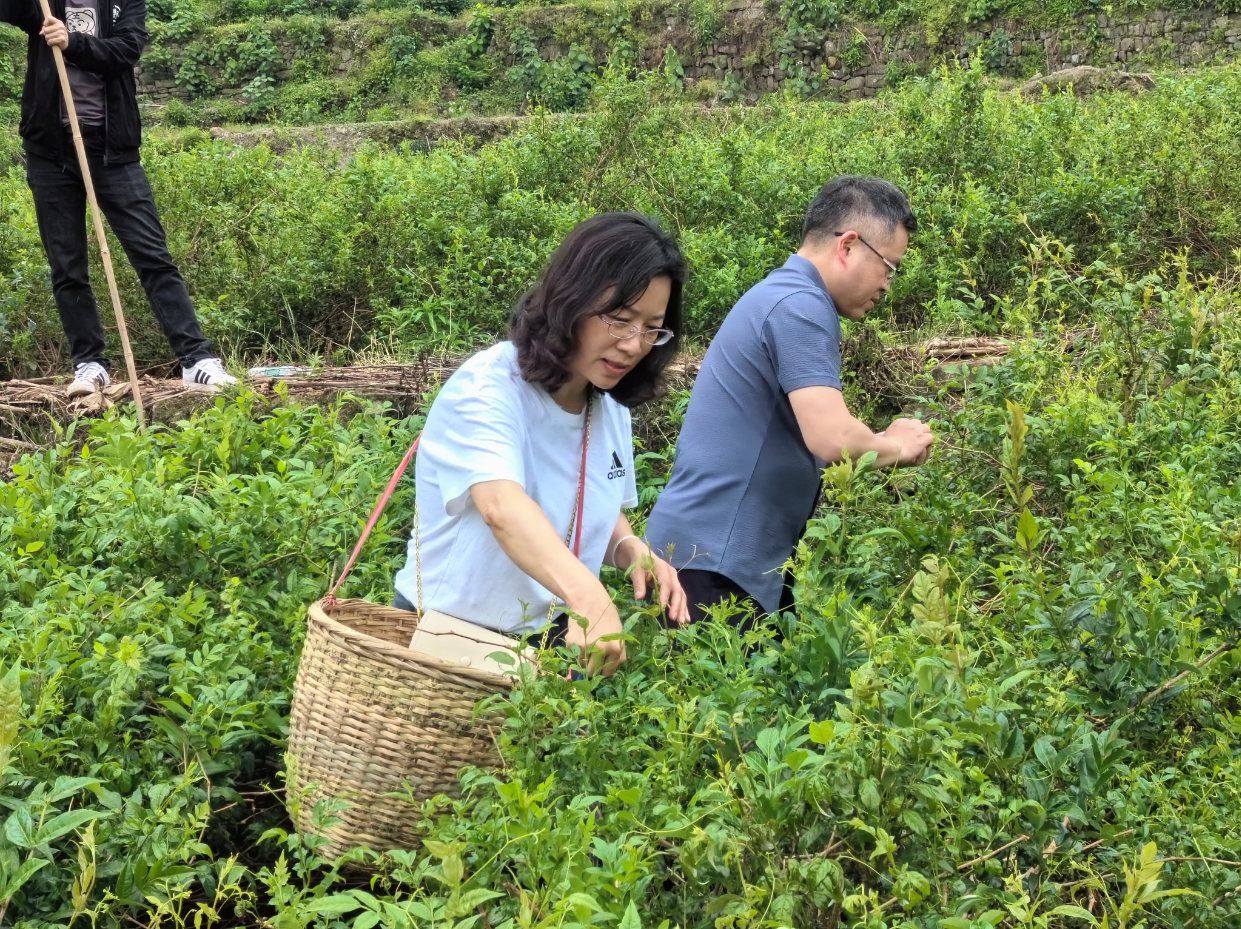 william威廉中文官网